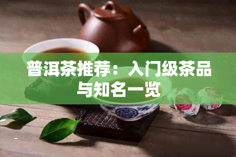 普洱茶推荐：入门级茶品与知名一览