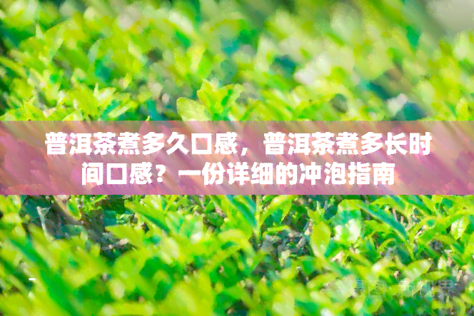 普洱茶煮多久口感，普洱茶煮多长时间口感？一份详细的冲泡指南