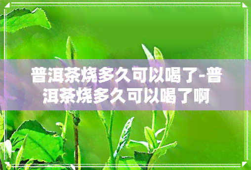 普洱茶烧多久可以喝了-普洱茶烧多久可以喝了啊