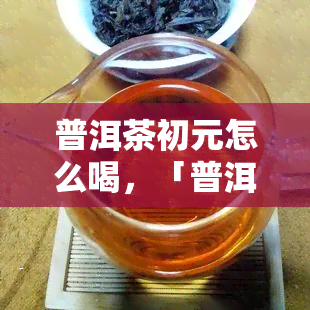 普洱茶初元怎么喝，「普洱茶初元」饮用指南：如何让口感更佳？