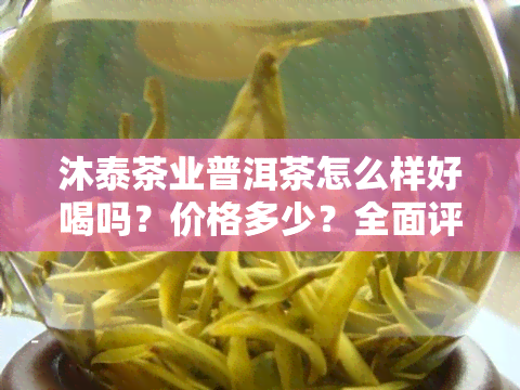 沐泰茶业普洱茶怎么样好喝吗？价格多少？全面评测