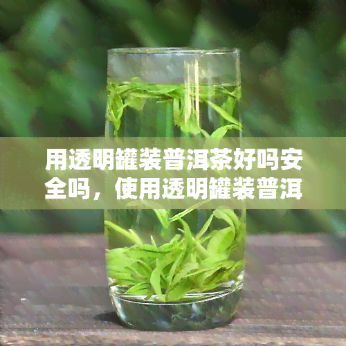 用透明罐装普洱茶好吗安全吗，使用透明罐装普洱茶的安全性探讨