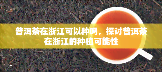 普洱茶在浙江可以种吗，探讨普洱茶在浙江的种植可能性