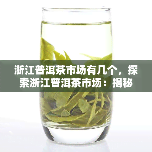 浙江普洱茶市场有几个，探索浙江普洱茶市场：揭秘其规模与特点