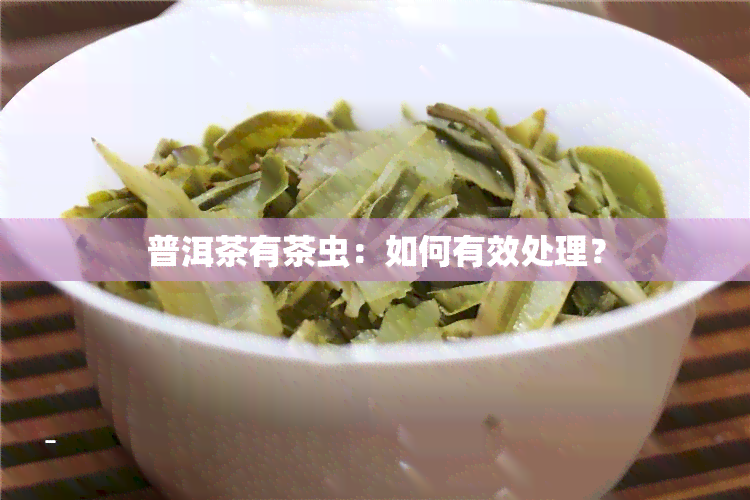 普洱茶有茶虫：如何有效处理？