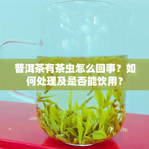 普洱茶有茶虫怎么回事？如何处理及是否能饮用？