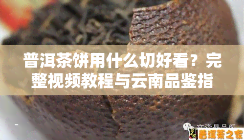 普洱茶饼用什么切好看？完整视频教程与云南品鉴指南