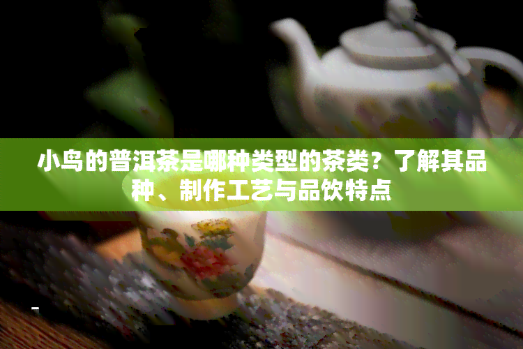 小鸟的普洱茶是哪种类型的茶类？了解其品种、制作工艺与品饮特点