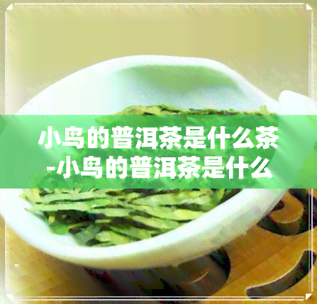 小鸟的普洱茶是什么茶-小鸟的普洱茶是什么茶叶