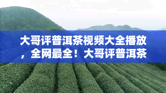 大哥评普洱茶视频大全播放，全网最全！大哥评普洱茶视频合集，一为快！