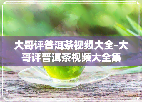 大哥评普洱茶视频大全-大哥评普洱茶视频大全集