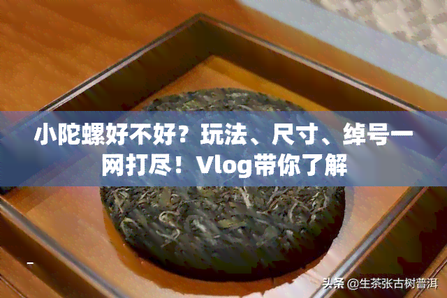 小陀螺好不好？玩法、尺寸、绰号一网打尽！Vlog带你了解