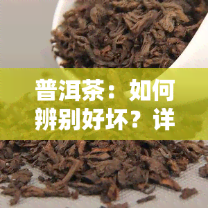 普洱茶：如何辨别好坏？详细图文解析！