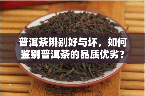 普洱茶辨别好与坏，如何鉴别普洱茶的品质优劣？