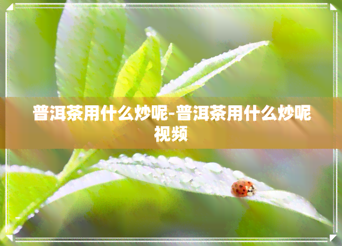 普洱茶用什么炒呢-普洱茶用什么炒呢视频