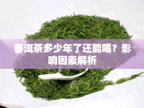 普洱茶多少年了还能喝？影响因素解析