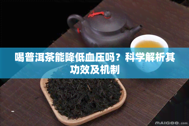 喝普洱茶能降低血压吗？科学解析其功效及机制