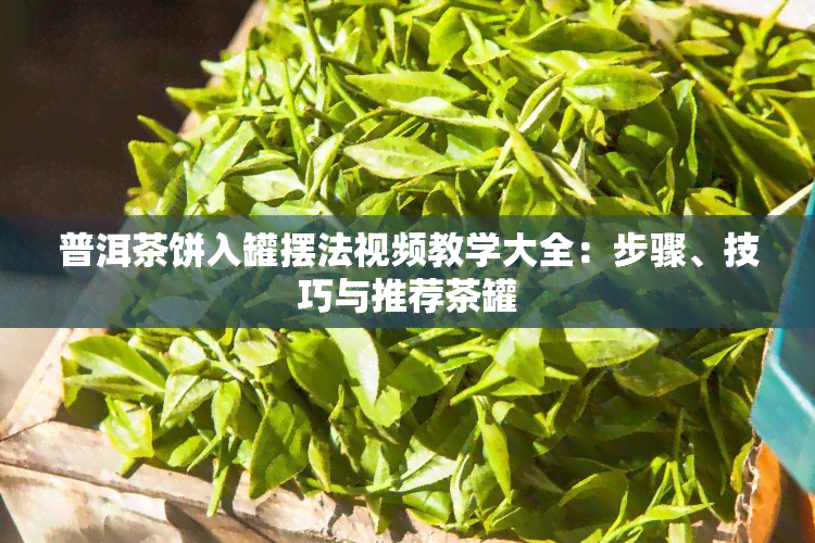 普洱茶饼入罐摆法视频教学大全：步骤、技巧与推荐茶罐