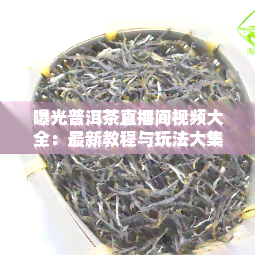 曝光普洱茶直播间视频大全：最新教程与玩法大 *** 