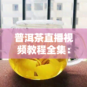 普洱茶直播视频教程全集：从入门到精通，，了解最新平台与玩法！