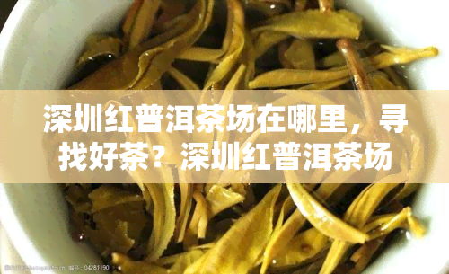 深圳红普洱茶场在哪里，寻找好茶？深圳红普洱茶场地址在此！