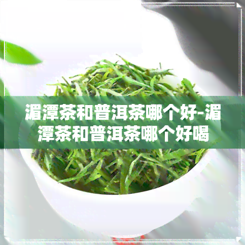 湄潭茶和普洱茶哪个好-湄潭茶和普洱茶哪个好喝