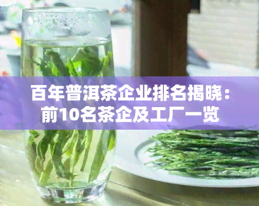 百年普洱茶企业排名揭晓：前10名茶企及工厂一览