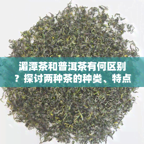 湄潭茶和普洱茶有何区别？探讨两种茶的种类、特点及优劣。