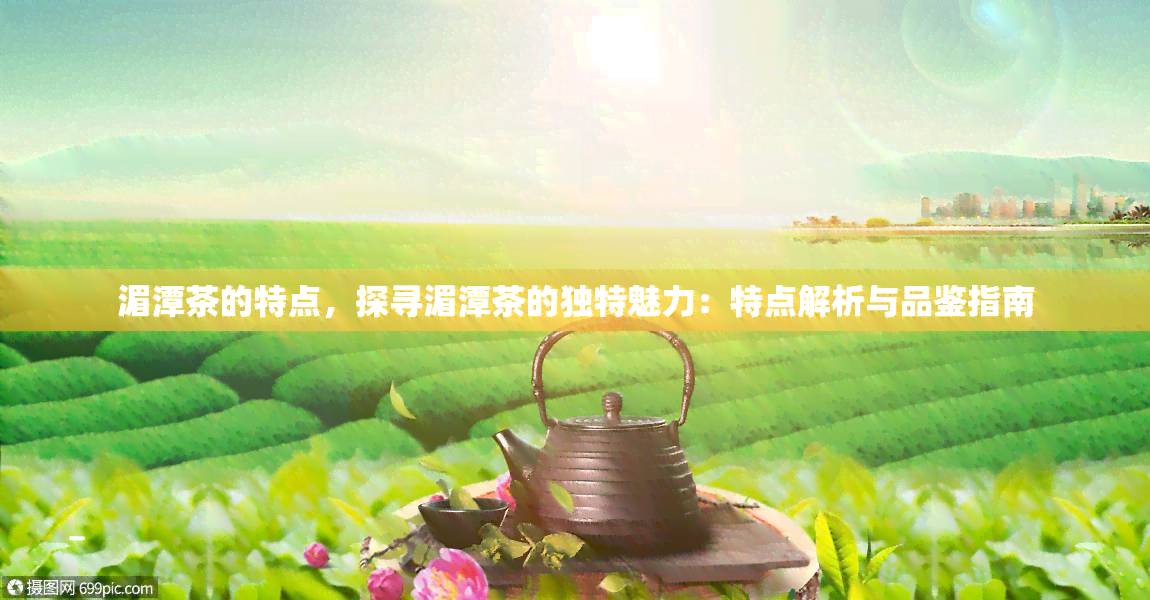 湄潭茶的特点，探寻湄潭茶的独特魅力：特点解析与品鉴指南