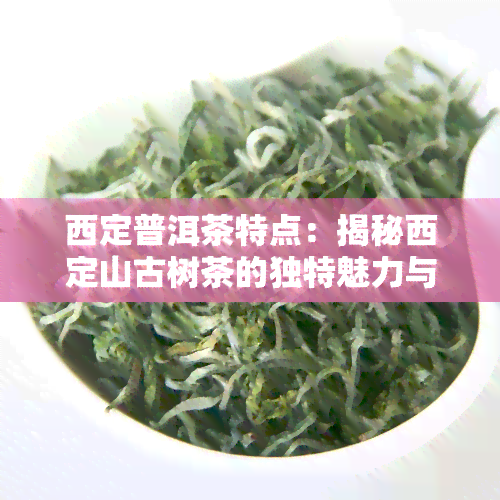 西定普洱茶特点：揭秘西定山古树茶的独特魅力与价格