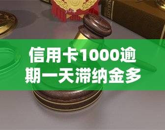 信用卡1000逾期一天滞纳金多少？逾期一个月利息、一年后果全解析！