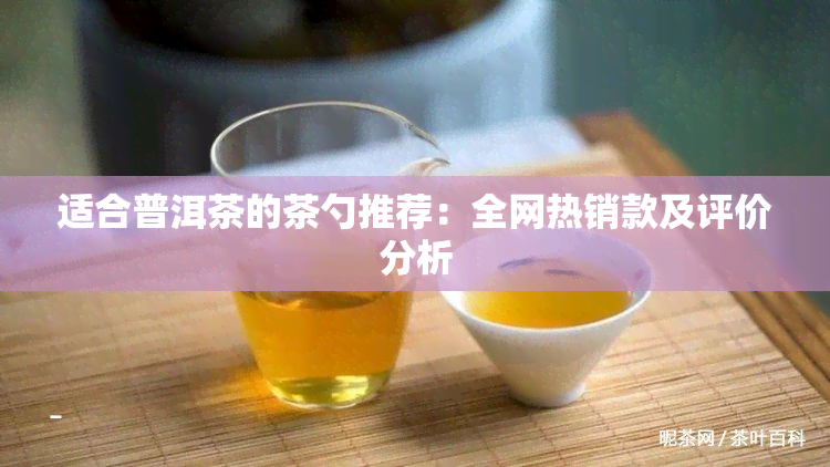 适合普洱茶的茶勺推荐：全网热销款及评价分析