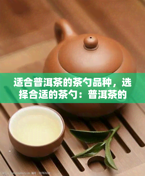 适合普洱茶的茶勺品种，选择合适的茶勺：普洱茶的伴侣