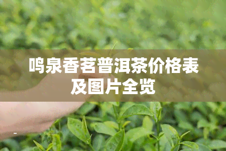 鸣泉香茗普洱茶价格表及图片全览