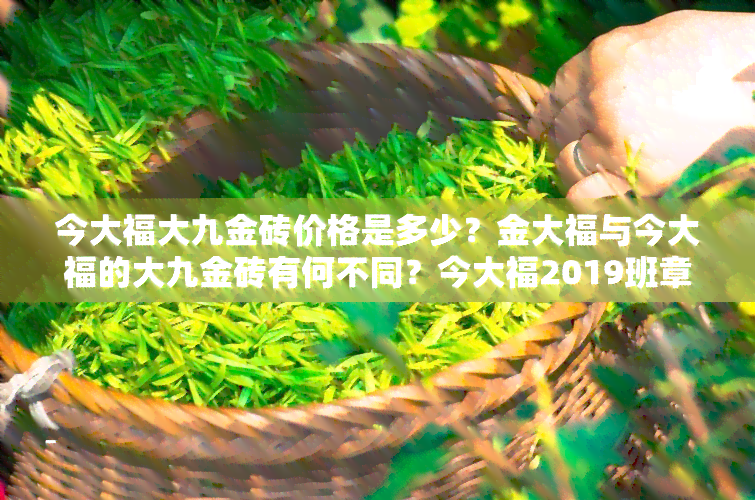 今大福大九金砖价格是多少？金大福与今大福的大九金砖有何不同？今大福2019班章大九金砖最新价格一览