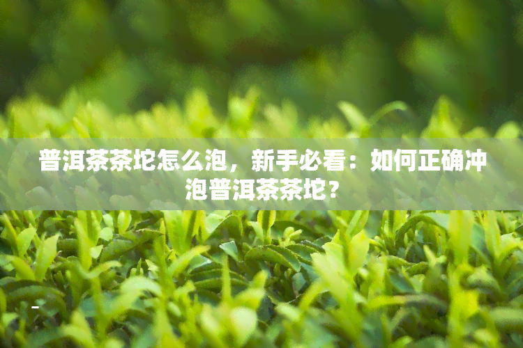 普洱茶茶坨怎么泡，新手必看：如何正确冲泡普洱茶茶坨？