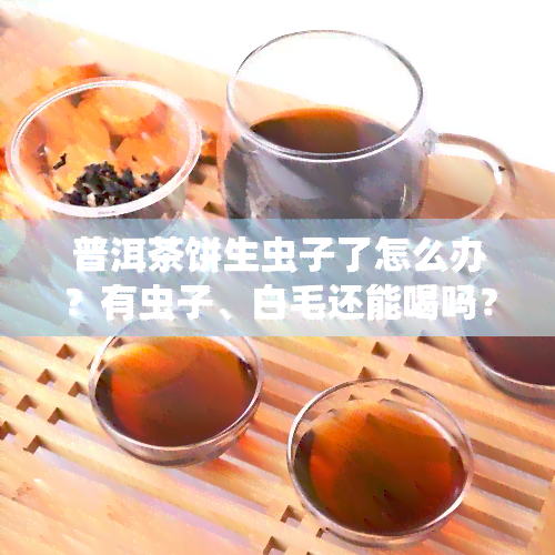 普洱茶饼生虫子了怎么办？有虫子、白毛还能喝吗？解决方法大揭秘！