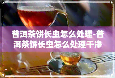 普洱茶饼长虫怎么处理-普洱茶饼长虫怎么处理干净