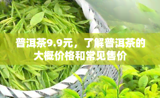 普洱茶9.9元，了解普洱茶的大概价格和常见售价