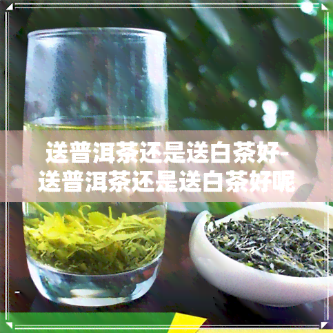 送普洱茶还是送白茶好-送普洱茶还是送白茶好呢