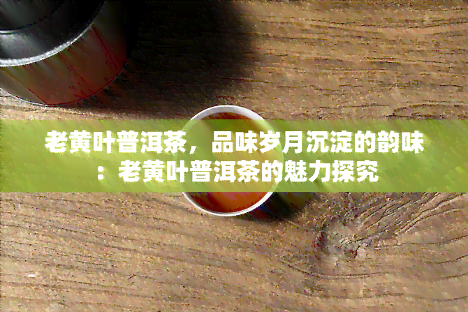 老黄叶普洱茶，品味岁月沉淀的韵味：老黄叶普洱茶的魅力探究