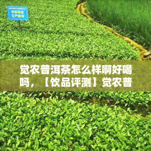 觉农普洱茶怎么样啊好喝吗，【饮品评测】觉农普洱茶，口感醇厚，值得一试！