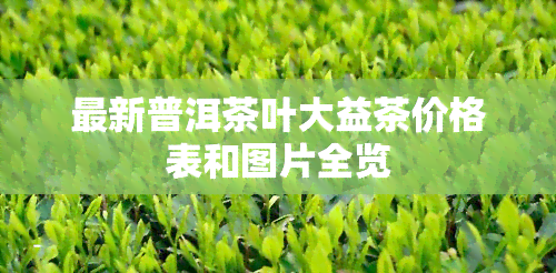 最新普洱茶叶大益茶价格表和图片全览