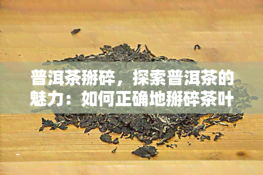 普洱茶掰碎，探索普洱茶的魅力：如何正确地掰碎茶叶？