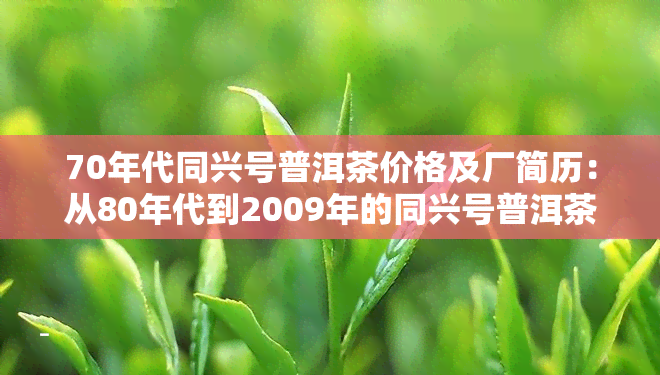 70年代同兴号普洱茶价格及厂简历：从80年代到2009年的同兴号普洱茶价格表与茶饼价格一览