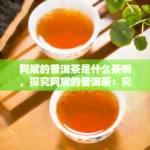 阿斌的普洱茶是什么茶啊，探究阿斌的普洱茶：究竟属于哪一类茶？