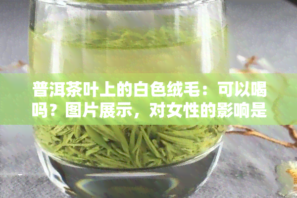 普洱茶叶上的白色绒毛：可以喝吗？图片展示，对女性的影响是什么？来源解析