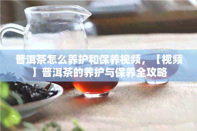 普洱茶怎么养护和保养视频，【视频】普洱茶的养护与保养全攻略