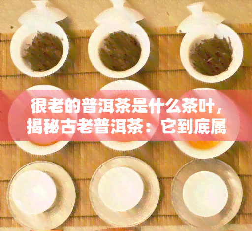 很老的普洱茶是什么茶叶，揭秘古老普洱茶：它到底属于哪种茶叶？