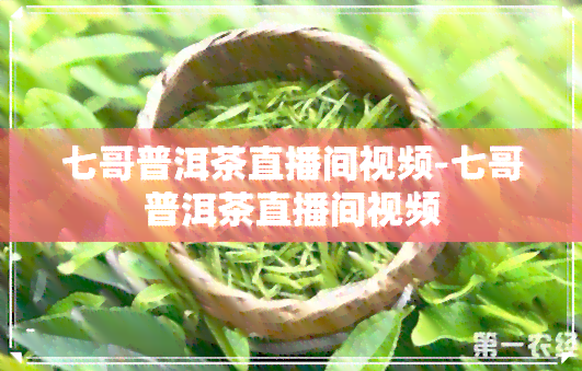 七哥普洱茶直播间视频-七哥普洱茶直播间视频